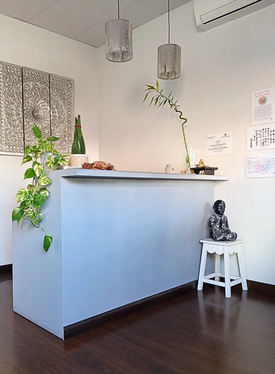Recepción del centro de yoga Nidhan, con plantas, lámparas y una figura de Buda